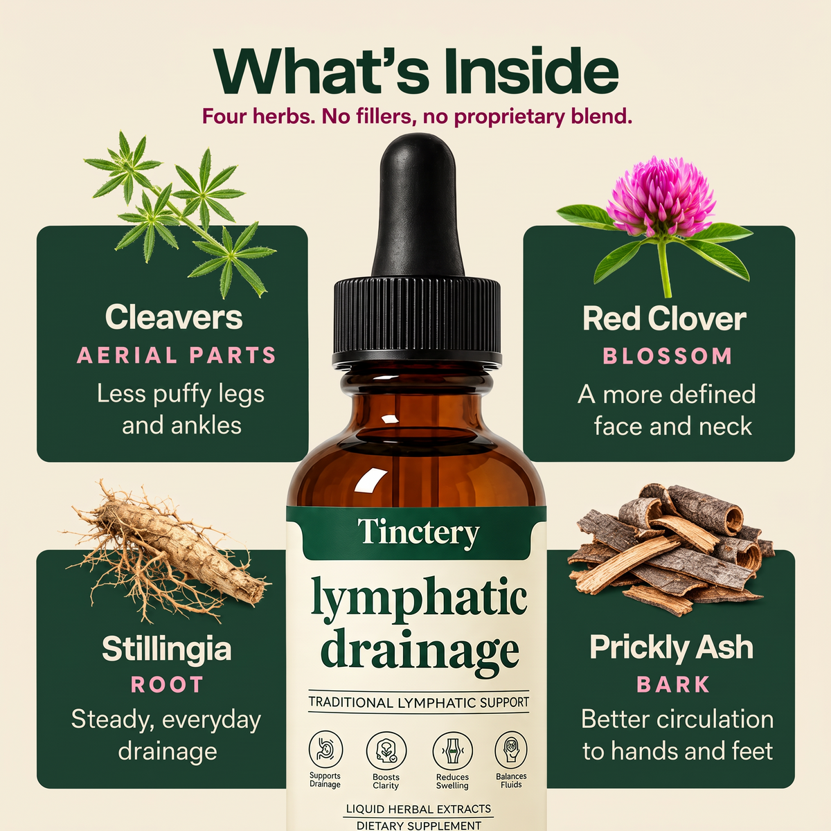 Tinctery™ Lymphatic Drainage Drops