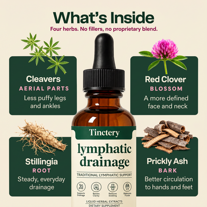 Tinctery™ Lymphatic Drainage Drops